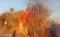 Και πάλι πυρκαγιά στην Λήμνο, πήρε φωτιά μέχρι και κολόνα της ΔΕΗ - Φωτογραφία 2