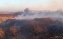 Και πάλι πυρκαγιά στην Λήμνο, πήρε φωτιά μέχρι και κολόνα της ΔΕΗ - Φωτογραφία 3