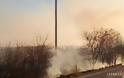 Και πάλι πυρκαγιά στην Λήμνο, πήρε φωτιά μέχρι και κολόνα της ΔΕΗ - Φωτογραφία 4