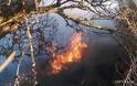 Και πάλι πυρκαγιά στην Λήμνο, πήρε φωτιά μέχρι και κολόνα της ΔΕΗ - Φωτογραφία 5