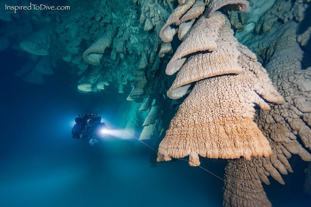 Cenote Zapote: Οι καμπάνες της κόλασης [photos] - Φωτογραφία 2