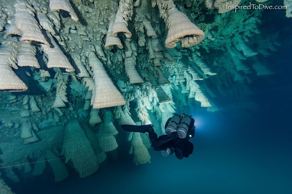 Cenote Zapote: Οι καμπάνες της κόλασης [photos] - Φωτογραφία 3