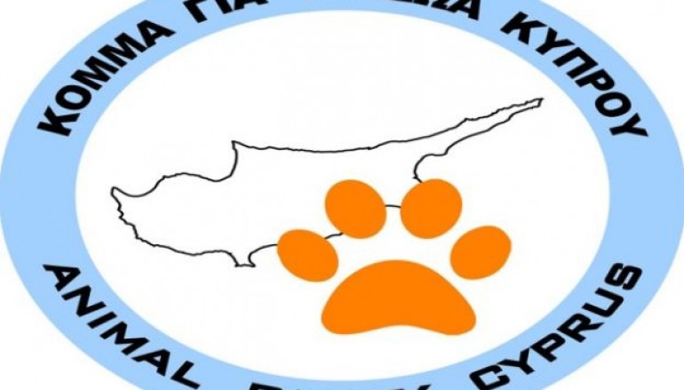 Κύπρος: Απαράδεκτες συνθήκες μεταφοράς σφάγιων καταγγέλλει το Κόμμα για τα Ζώα [photo] - Φωτογραφία 1