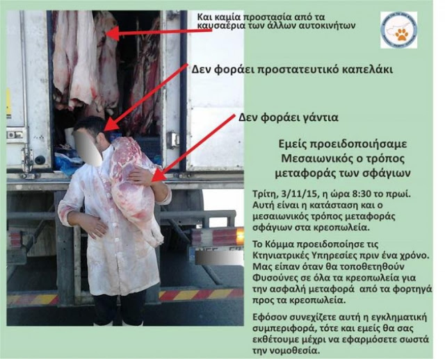 Κύπρος: Απαράδεκτες συνθήκες μεταφοράς σφάγιων καταγγέλλει το Κόμμα για τα Ζώα [photo] - Φωτογραφία 2