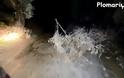 Ισχυρή χαλαζόπτωση με χαλάζι μεγάλου μεγέθους έπληξε την Μυτιλήνη [video] - Φωτογραφία 9
