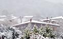Καιρός: Χιονίζει από τον Έβρο μέχρι τα ορεινά της Λάρισας - Το έστρωσε σε σπίτια και δρόμους!