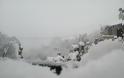 Η Μαγνησία στον πάγο - Χιόνια παντού ακόμα και στο Βόλο [photos] - Φωτογραφία 9