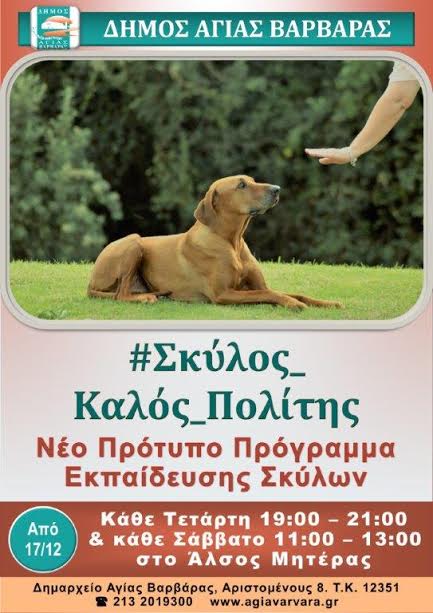 Δήμος Αγίας Βαρβάρας: Καινοτόμο πρόγραμμα εκπαίδευσης σκύλων στον Δήμο Αγίας Βαρβάρας - Φωτογραφία 2