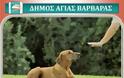 Δήμος Αγίας Βαρβάρας: Καινοτόμο πρόγραμμα εκπαίδευσης σκύλων στον Δήμο Αγίας Βαρβάρας - Φωτογραφία 2