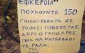 Τρίκαλα: Η πιο ανορθόγραφη αγγελία - Βοσκός θέλει να πουλήσει 150 γιδοπρόβατα! [photo] - Φωτογραφία 2