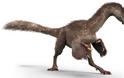Βρήκαν ουρά δεινοσαύρου παγιδευμένη σε ρετσίνι - Φωτογραφία 1