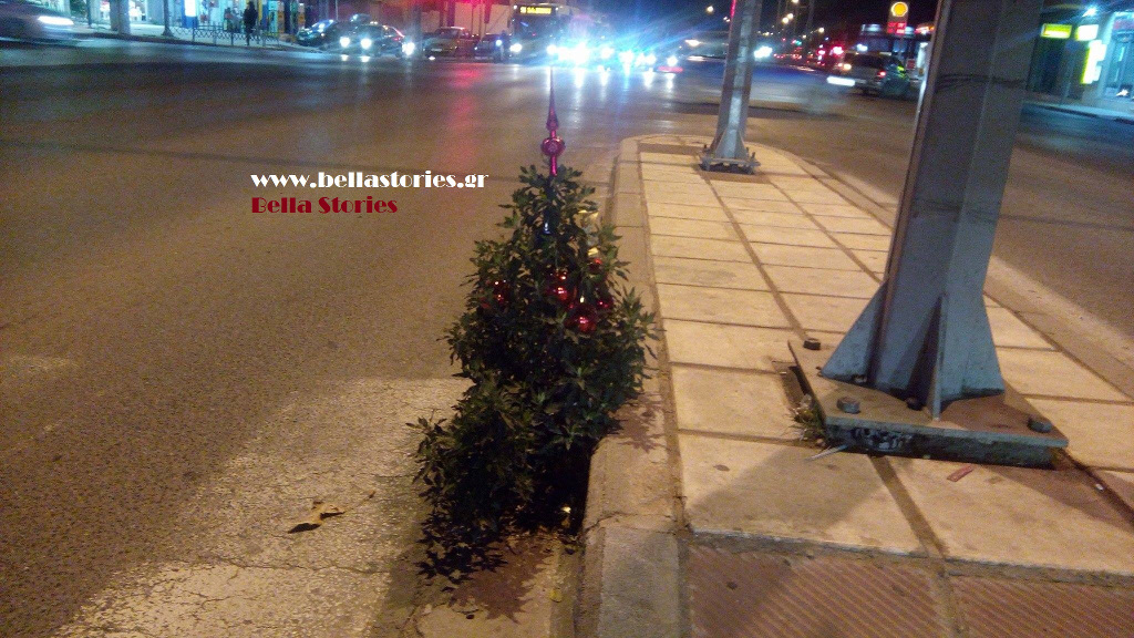 Μόνο στην Ελλάδα: Τύπος στόλισε δέντρο που φύτρωσε στο κέντρο δρόμου της Θεσσαλονίκης! - Φωτογραφία 2