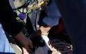Φωκίδα: Έσωσαν σκύλο που είχε πέσει σε πηγάδι 30 μέτρων [photos] - Φωτογραφία 2