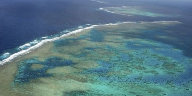 Τουρίστρια έχασε τη ζωή της στον Μεγάλο Κοραλλιογενή Ύφαλο - Φωτογραφία 1