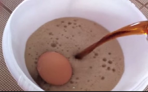 ΑΠΙΣΤΕΥΤΟ: Για έναν ολόκληρο χρόνο άφησε ένα αυγό μέσα σε Coca Cola και… δείτε τι συνέβη! [video] - Φωτογραφία 1