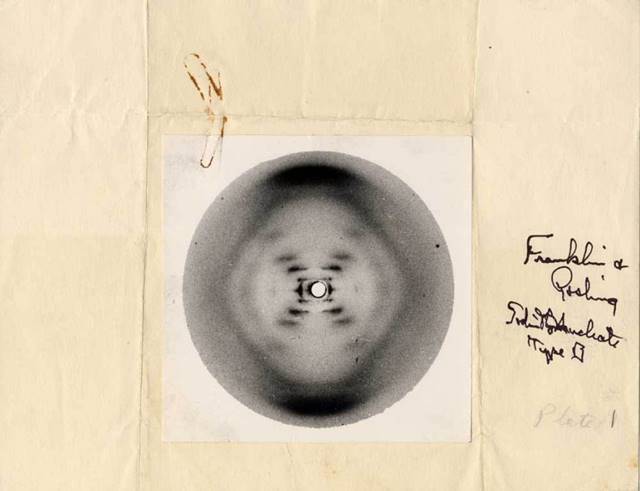 Rosalind Franklin: Η “σβησμένη” υπογραφή πίσω από δύο Nobel - Φωτογραφία 5