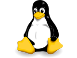 Zero-day exploits στις δημοφιλείς διανομές Linux, Fedora και Ubuntu - Φωτογραφία 1
