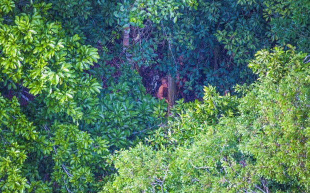 Το National Geographic φωτογράφισε άγνωστη φυλή του Αμαζονίου! - Φωτογραφία 6