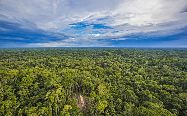 Το National Geographic φωτογράφισε άγνωστη φυλή του Αμαζονίου! - Φωτογραφία 8