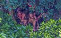 Το National Geographic φωτογράφισε άγνωστη φυλή του Αμαζονίου! - Φωτογραφία 1