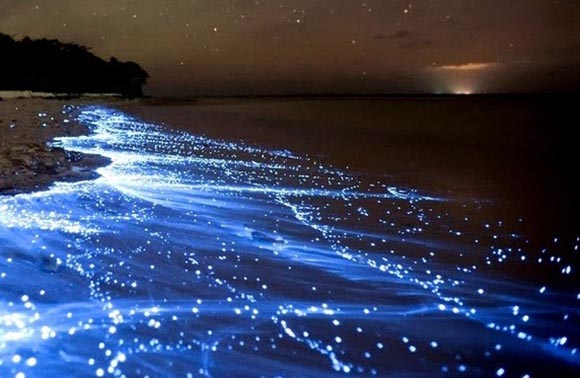 Μαλδίβες: Περπατώντας σε μια θάλασσα από αστέρια - Φωτογραφία 1
