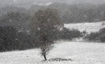 Ο καιρός μέχρι την παραμονή Πρωτοχρονιάς - Παγωνιά και χιόνια στα πεδινά - Φωτογραφία 1