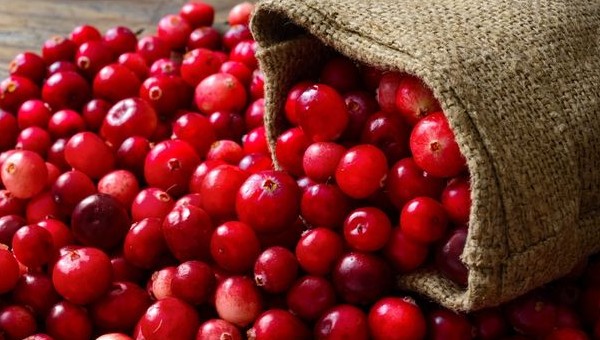 Τα cranberries είναι το φρούτο που χρειάζεσαι για την προστασία του δέρματός σου - Φωτογραφία 1