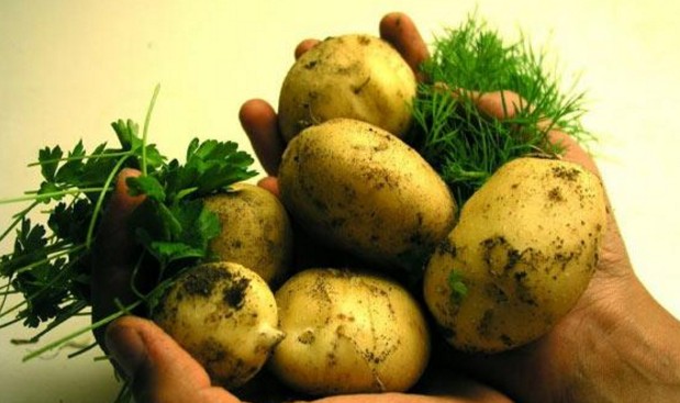 Πώς ξεφλουδίζονται πανεύκολα οι βραστές πατάτες - Φωτογραφία 1