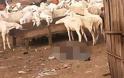 Νιγηρία: Άγριο λιντσάρισμα σε γυναίκα-καμικάζι που απέτυχε να ανατιναχθεί - Φωτογραφία 2
