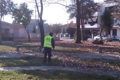 Δήμος Δράμας: Καθαριότητα όλων των περιοχών από την πτώση φύλλων των δέντρων.