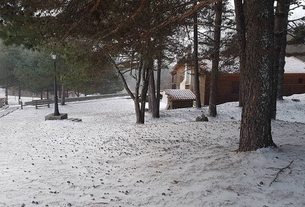 Πτώσεις δέντρων και διακοπές ρεύματος στην Ξάνθη - Χιονοθύελλα και -9 στο Δασικό Χωριό [photos] - Φωτογραφία 4