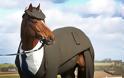 Άλογο ντύθηκε με ρούχα πρώην μαθητευόμενης του Alexander MacQueen - Φωτογραφία 2