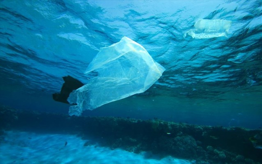 ΗΠΑ: Απαγόρευση των πλαστικών σακουλών στην πολιτεία του Μίσιγκαν - Φωτογραφία 1