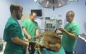 Ακρωτηριάσαν το ένα πόδι για να σώσουν τη ζωή του ελαφιού που βρέθηκε τραυματισμένο στην Πάρνηθα - Φωτογραφία 3