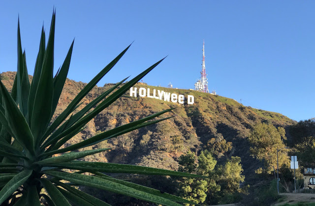 Η πινακίδα Hollywood έγινε... Hollyweed! Τι συνέβη - Φωτογραφία 2