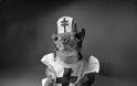 Tommy Tucker: Ο σκίουρος που έγινε η μασκότ της Αμερικής στο Β' Παγκόσμιο - Φωτογραφία 3
