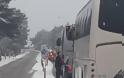 Πατρών - Κορίνθου: Σύγκρουση στα Σελιανίτικα - Αποκλεισμένα οχήματα μέσα στο χιόνι - Με δυσκολία η κυκλοφορία στην παλαιά εθνική [photos+video] - Φωτογραφία 1