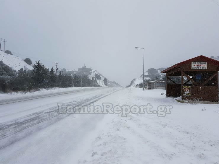 Λαμία: Παγοδρόμιο ο δρόμος για Δομοκό - Απαγορευτικό για φορτηγά [photo+video] - Φωτογραφία 11