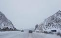 Λαμία: Παγοδρόμιο ο δρόμος για Δομοκό - Απαγορευτικό για φορτηγά [photo+video] - Φωτογραφία 2