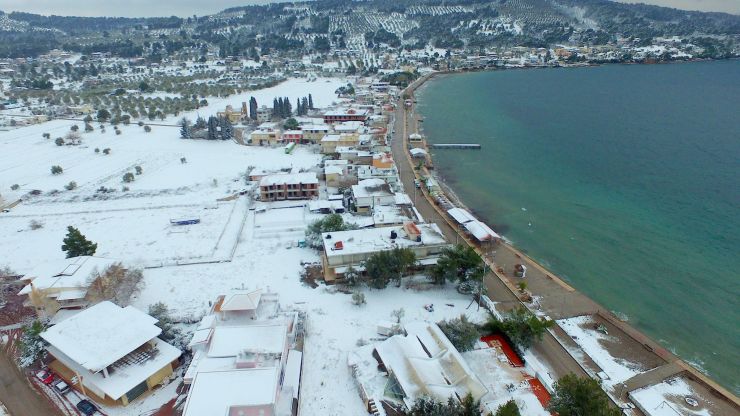 Φθιώτιδα: Το χιόνι έφτασε στο κύμα - Φωτογραφία 5