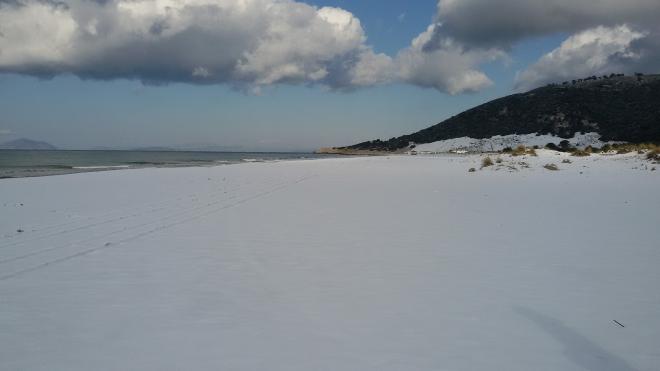 Χιονοπόλεμος στη διάσημη παραλία της Καλογριάς! Λευκό το περίφημο δάσος της Στροφυλιάς - Φωτογραφία 5
