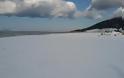 Χιονοπόλεμος στη διάσημη παραλία της Καλογριάς! Λευκό το περίφημο δάσος της Στροφυλιάς - Φωτογραφία 5