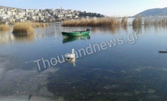 Πάγωσε ολόκληρη η λίμνη της Καστοριάς - Δείτε εντυπωσιακές φωτογραφίες - Φωτογραφία 2