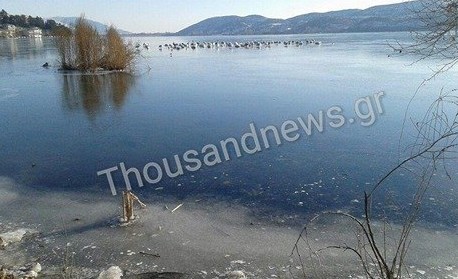 Πάγωσε ολόκληρη η λίμνη της Καστοριάς - Δείτε εντυπωσιακές φωτογραφίες - Φωτογραφία 3