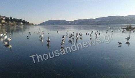 Πάγωσε ολόκληρη η λίμνη της Καστοριάς - Δείτε εντυπωσιακές φωτογραφίες - Φωτογραφία 5