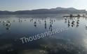 Πάγωσε ολόκληρη η λίμνη της Καστοριάς - Δείτε εντυπωσιακές φωτογραφίες - Φωτογραφία 4