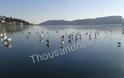 Πάγωσε ολόκληρη η λίμνη της Καστοριάς - Δείτε εντυπωσιακές φωτογραφίες - Φωτογραφία 5