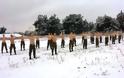 Φωτό - Έλληνες κομάντο εκπαιδεύονται στο χιόνι! - Φωτογραφία 4