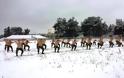 Φωτό - Έλληνες κομάντο εκπαιδεύονται στο χιόνι! - Φωτογραφία 8