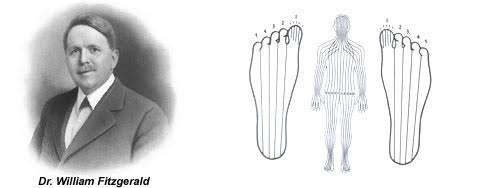 Ρεφλεξολογία: Θεραπεύοντας το ανθρώπινο σώμα από την κορυφή ως τα νύχια - Φωτογραφία 4